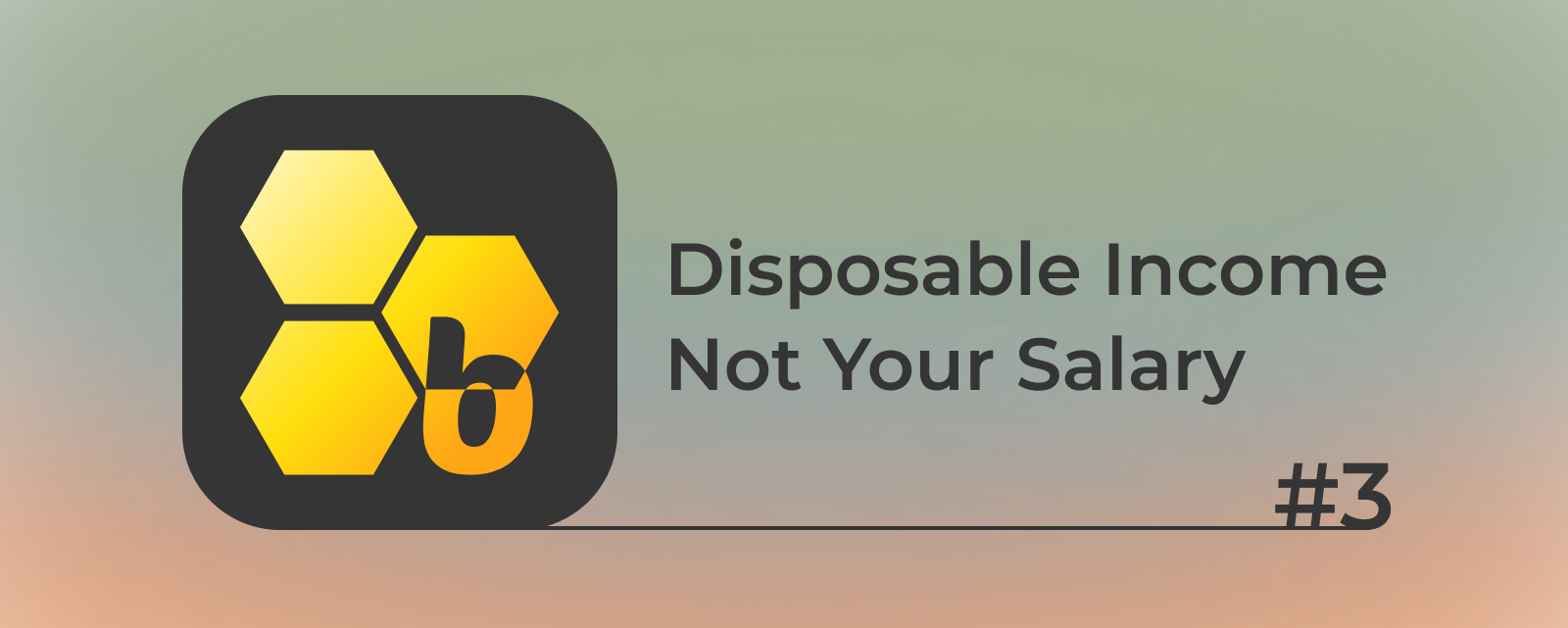What Is Disposable Income and How to Calculate It